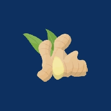 Ginger Root